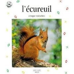 L'écureuil, croque noisettes / texte de Stéphanie Ledu-Frattini | Ledu, Stéphanie (1966-....). Auteur